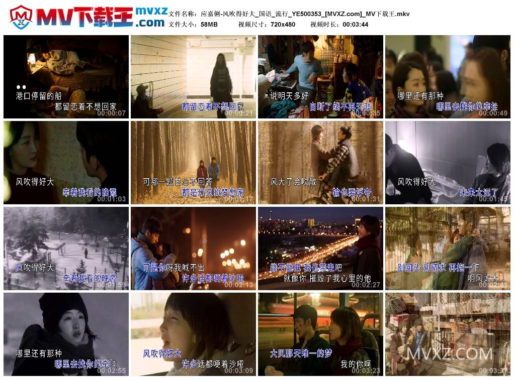 应嘉俐-风吹得好大_国语_流行_YE500353